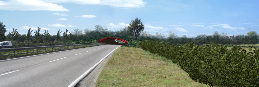 fotosimulazione9